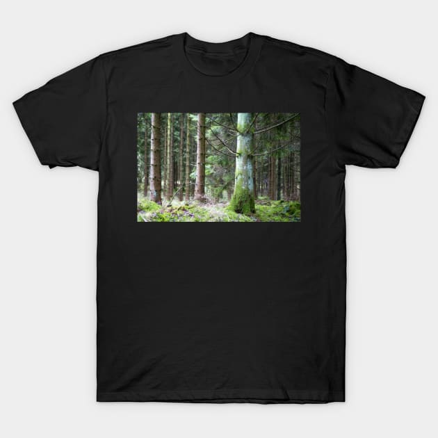 Green of the pine T-Shirt by heidiannemorris